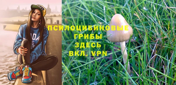 PSILOCYBIN Белоозёрский