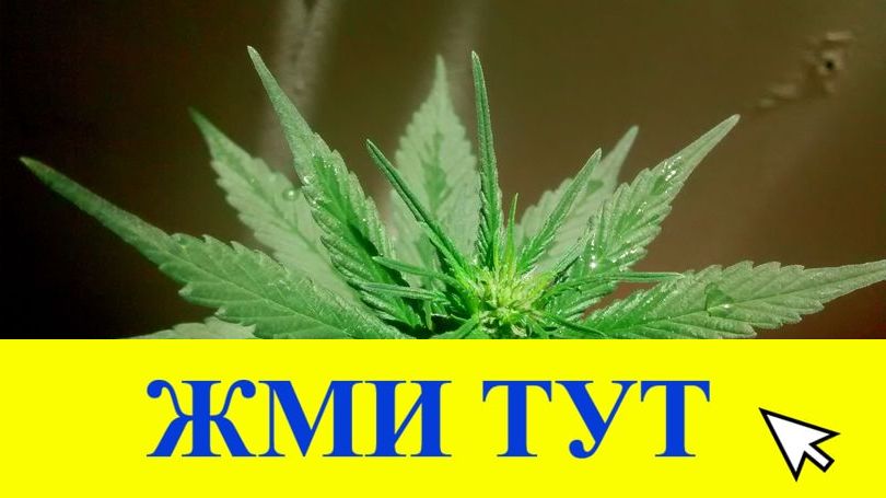 Купить наркотики в Вичуге